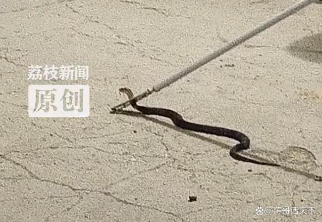 第275页