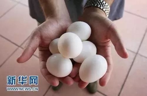 “吃鸡蛋事件”事发地成谜揭秘吃鸡蛋事件，事发地点成谜