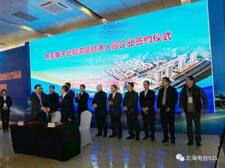 金融科技真正龙头金融科技，揭秘真正的行业巨头