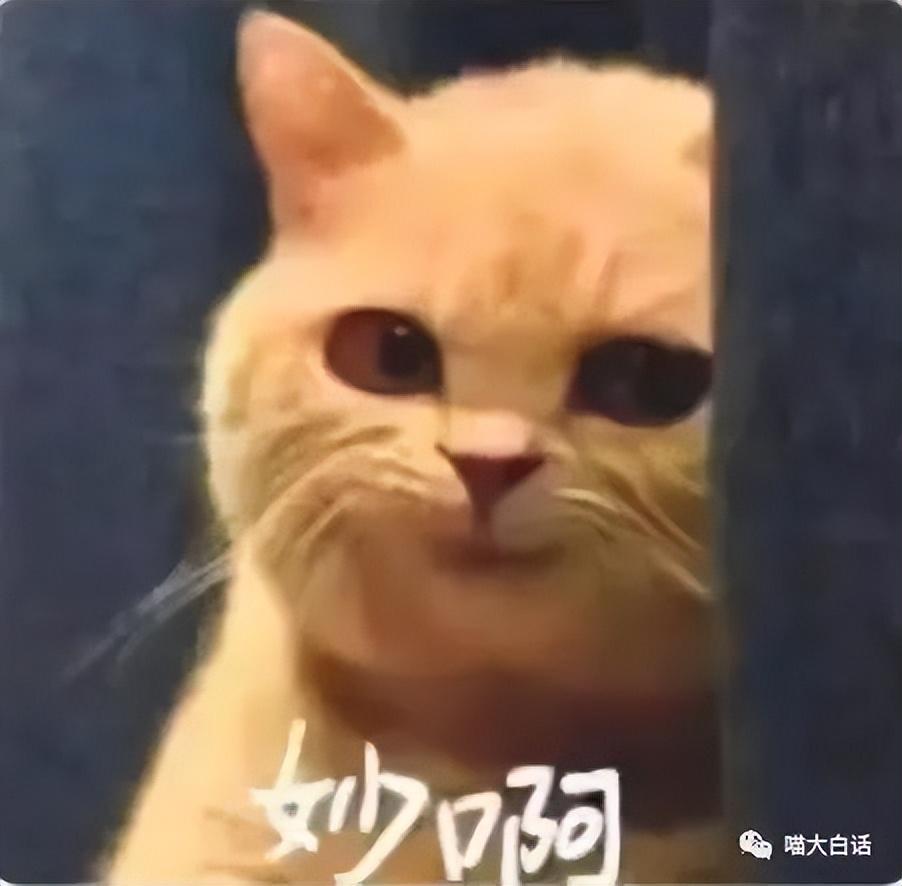 熊孩子踢人闹车厢 \"地铁判官\"出击熊孩子踢人闹车厢，地铁判官果断出击