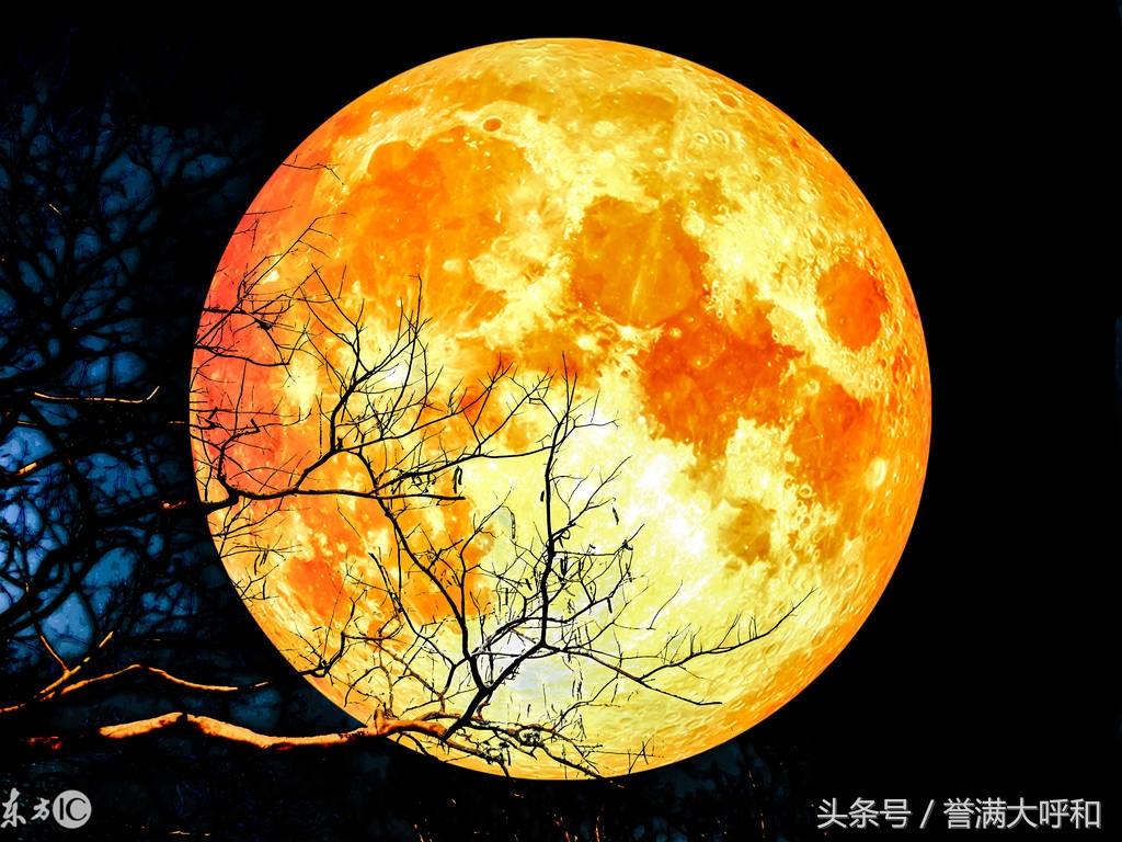 今晚血月现身 它对人体有害吗血月，也被称为红月亮，是一种天文现象，通常发生在月球进入地球的大气层时，受到大气层中的尘埃和大气折射的影响，使得月球呈现出红色或其他深色调的外观。从科学的角度来看，血月本身对人体是没有直接危害的。它只是月球的一种自然现象，与太阳和月亮的常规变化一样，不会对地球上的生物产生直接的负面影响。