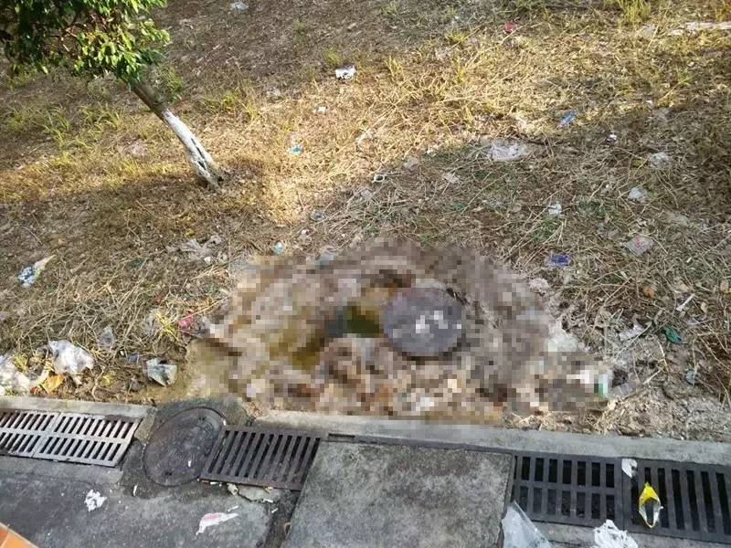 中国美院排粪管爆裂学生遭粪水喷溅中国美院惊现排粪管爆裂事件，学生遭遇粪水喷溅的意外
